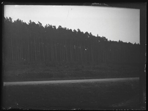 Paysage : route en bordure de forêt