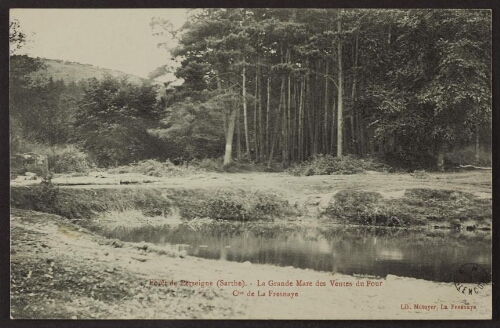 Forêt de Perseigne (Sarthe). - La grande mare des Ventes du Four. Commune de La Fresnaye
