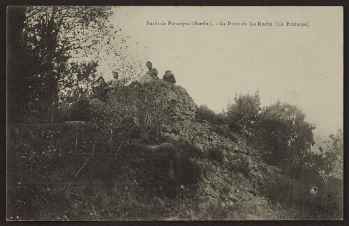 Forêt de Perseigne (Sarthe). - Le puits de la Roche (La Fresnaye) 