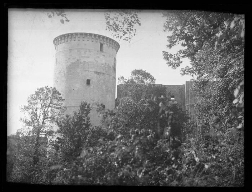 Falaise (Calvados) : château de Guillaume le Conquérant à Falaise ; arbustes au premier plan