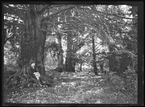 Paysage : enfant assis au pied d'un arbre