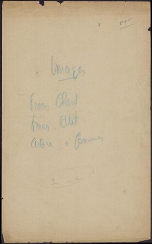 Vocabulaire judiciaire. Propagande française au Cambodge. Système métrique. Règlements du palais royal. Amendes. Origines brahmaniques des lois cambodgiennes. Souhait de longue vie au roi. Savoda Veath Sambok. 1 – Documents cambodgiens historiques papier du Japon. Garder