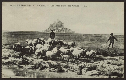 Le Mont-Saint-Michel - Les prés salés des grèves - LL 