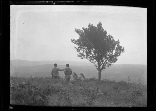 Paysage de campagne : deux hommes debout de dos près d'un arbre dans un champ ; l'un d'eux à la main posée sur l'épaule de son camarade