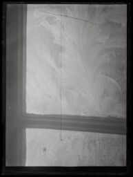 Gros plan sur une partie de fenêtre de maison avec le feuillage d'une plante sur la vitre ou fenêtre givrée