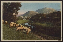 Lourdes. La vallée du Gave et le pic du Jer 