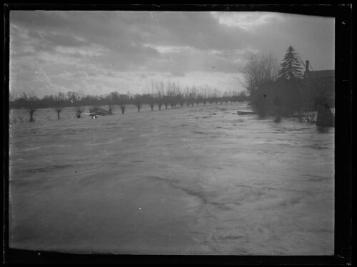 Inondation : champ inondé traversé d'une rangée d'arbres