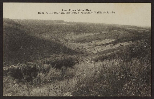 Les Alpes mancelles. 1608. - St-Léonard-des-Bois (Sarthe) - Vallée de Misère 