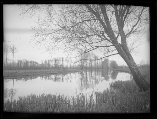 Paysage : rivière où se reflètent les arbres qui la bordent 