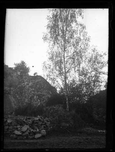 Paysage : arbre près de rochers et d'un monticule de cailloux