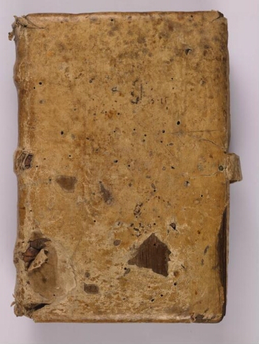 Cartulaire de l'Abbaye Saint-Martin (Sées, Orne), Livre blanc