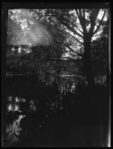 Paysage : pont en pierre au-dessus d'une rivière ; arbre et végétation au premier plan