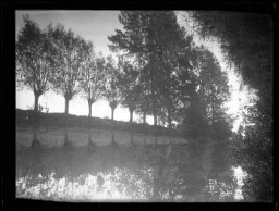 Paysage de campagne : reflet dans l'eau d'une rivière d'une rangée d'arbres