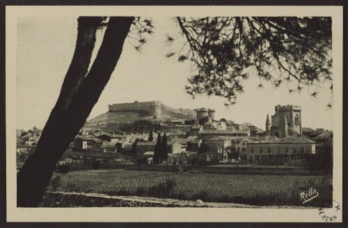 Villeneuve-les-Avignon. Vue d'ensemble et le fort Saint-André 