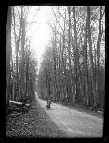 Un homme assis sur un rondin de bois au bord d'une route en forêt avec sa moto stationnée sur la route