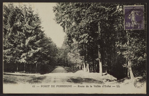 Forêt de Perseigne - Route de la vallée de l'enfer - LL
