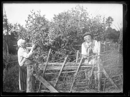 Gustave et Augustine Chevalier, les grands-parents de Marc Bry, dans leur jardin au lieu-dit « Le Gué »  à Essay (Orne) le 7 juillet 1929