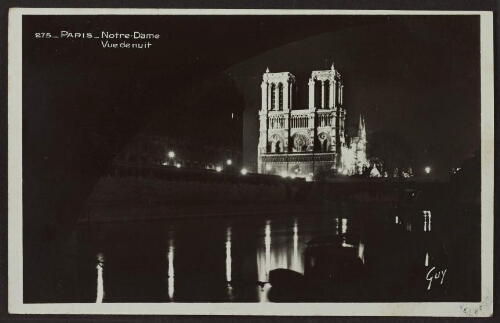 Paris - Notre-Dame Vue de nuit