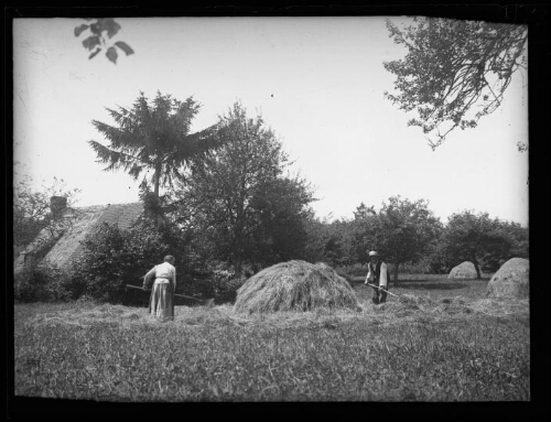 Scène de moisson : Gustave et Augustine Chevalier, les grands-parents de Marc Bry, chargent une meule de foin au lieu-dit « Le Gué »  à Essay (Orne), le 6 juillet 1930