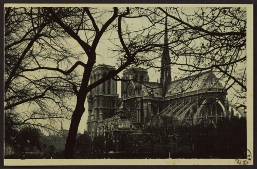 Notre-Dame de Paris. Le transept. (Photo Sougez) 