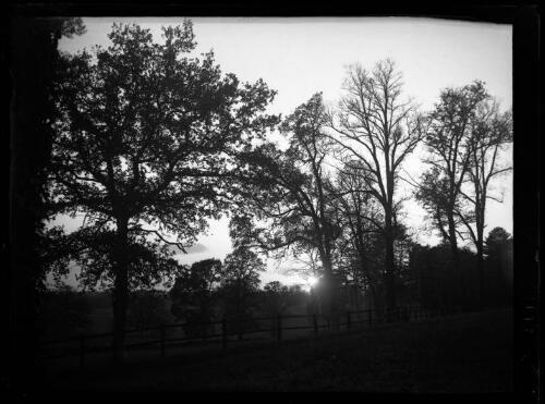 Bursard (Orne) : coucher de soleil, vue prise dans le parc du chalet du Bois Roussel le 11 novembre 1930